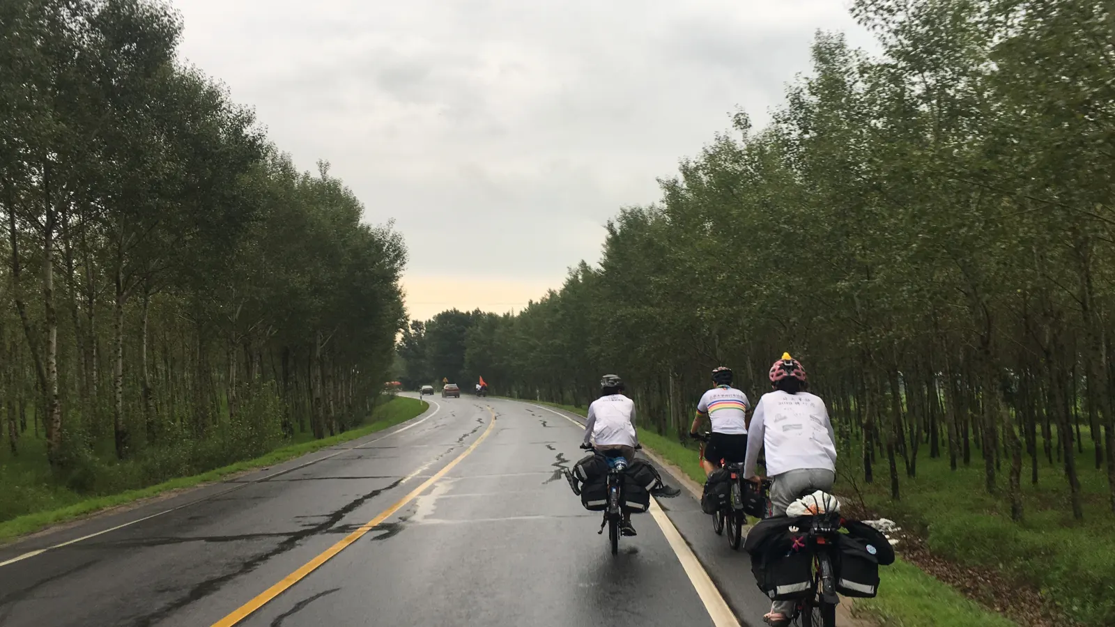 雨后前往白城的公路