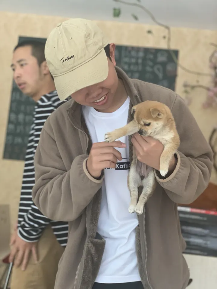 追风|杨辉