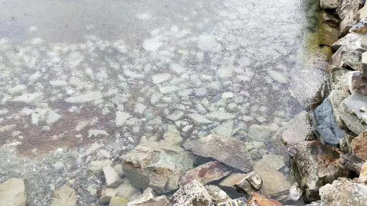 羊湖的雨