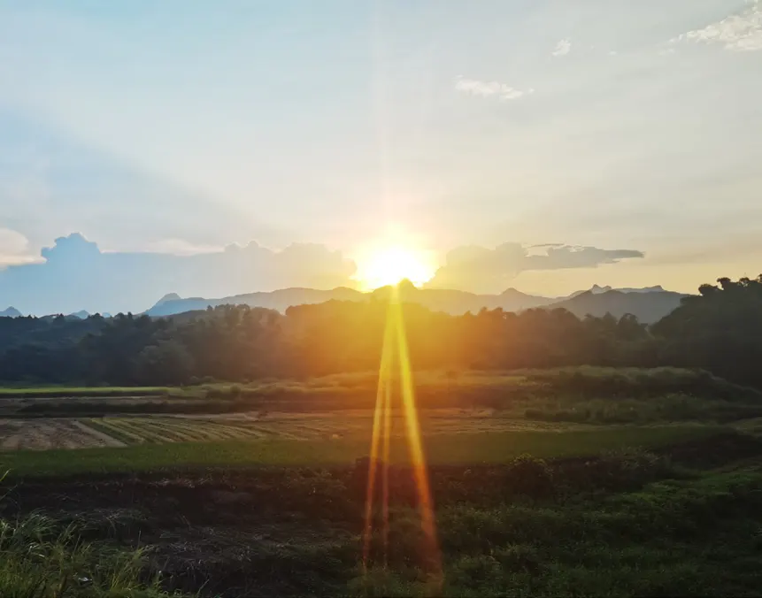 夕阳从山后落下,阳光洒在稻田上