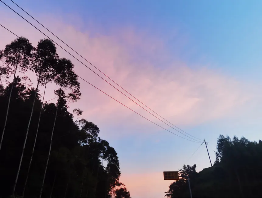 紫红色的晚霞映在树梢和电线上