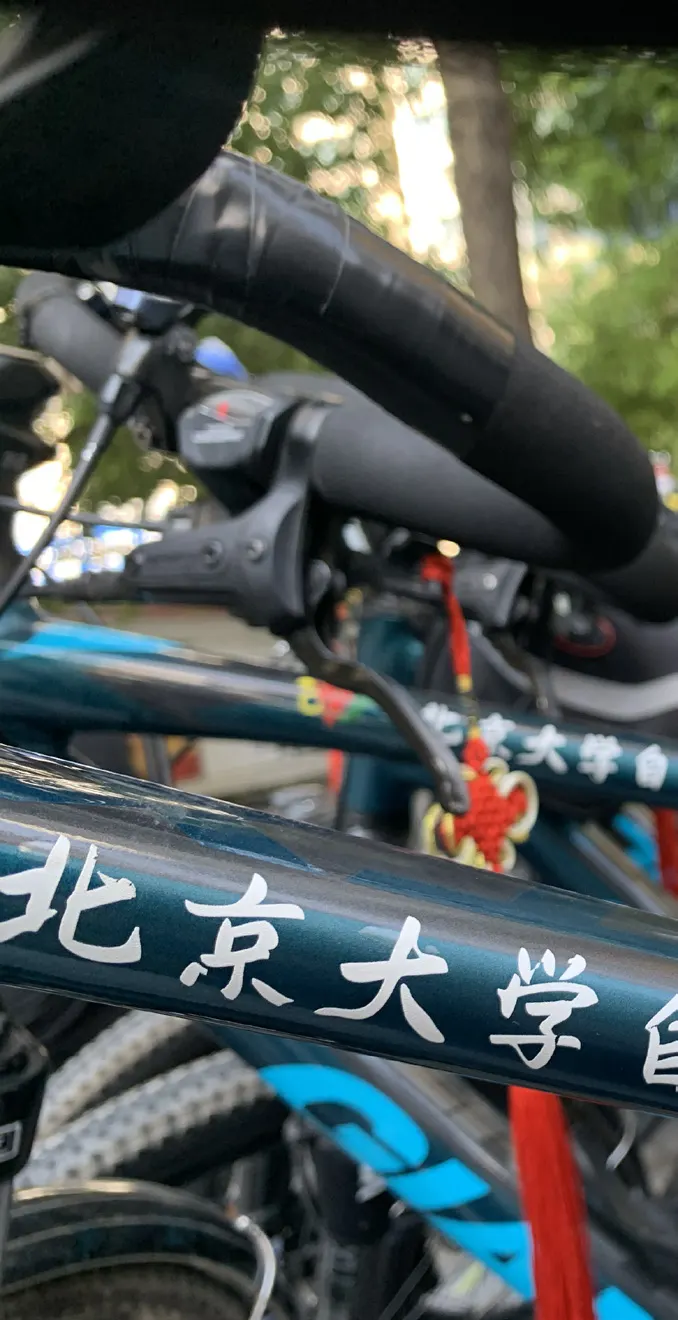 车架上印着“北京大学”的自行车并排停着