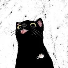 黑猫的头像