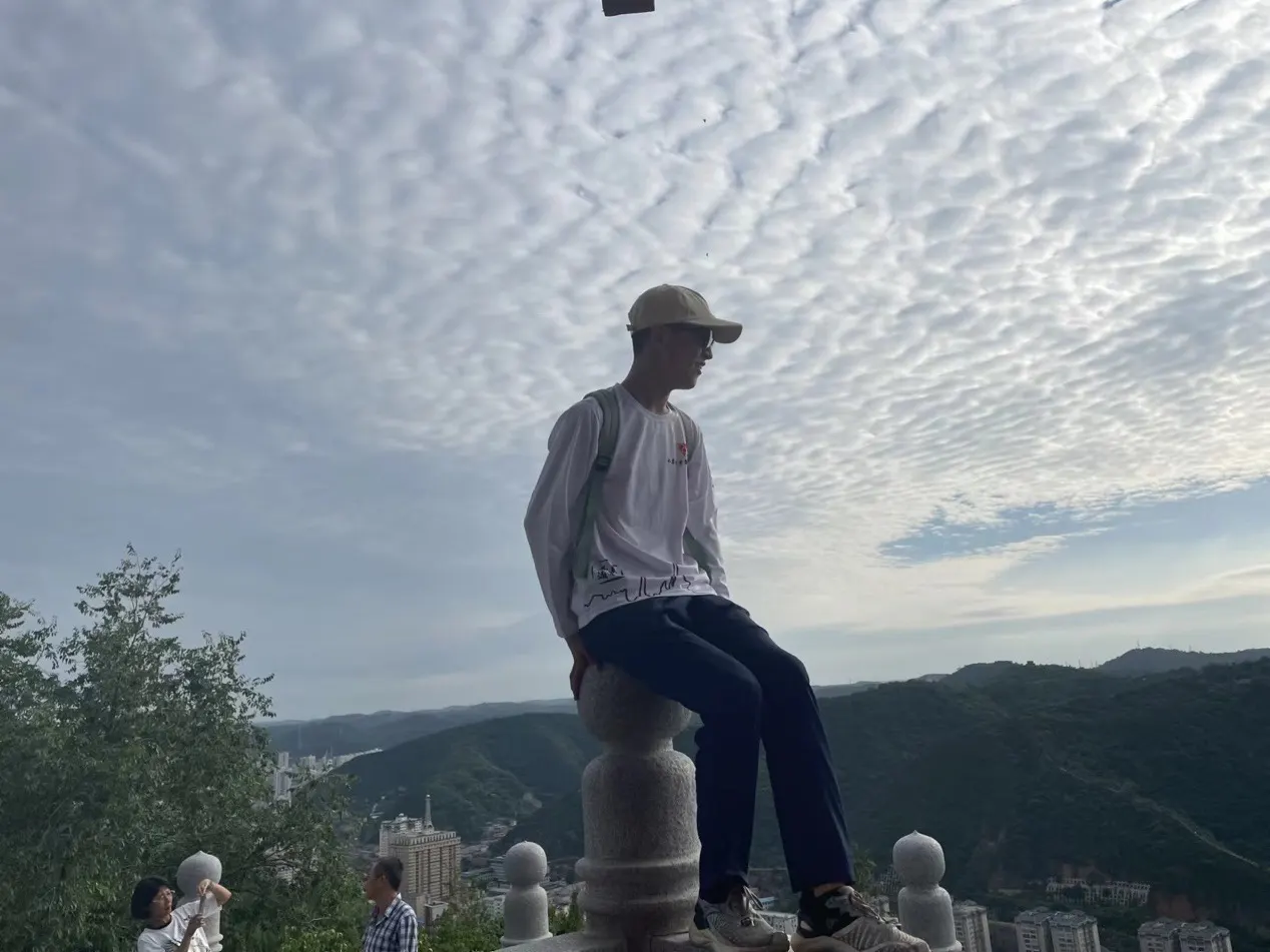 银狐坐在山顶的石头上眺望云海